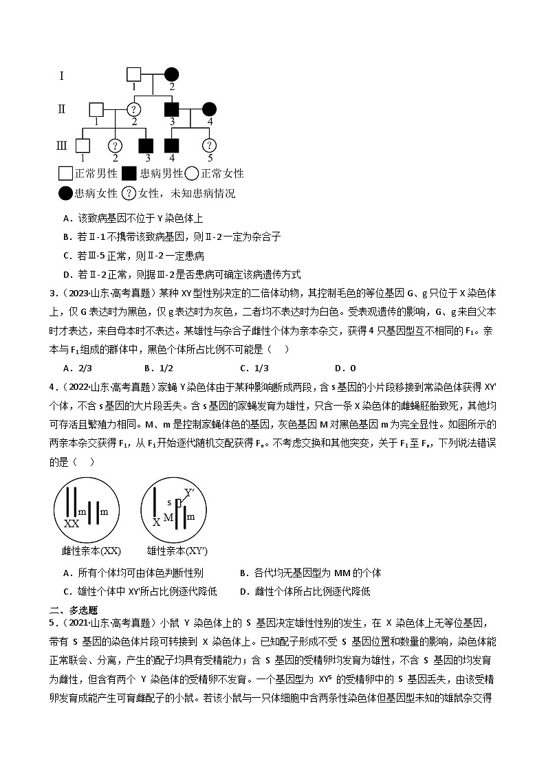 备战2026年高考近五年(2021-2025)高考生物真题分类汇编(山东专用)专题07伴性遗传和人类遗传病(原卷版+解析版)第2页