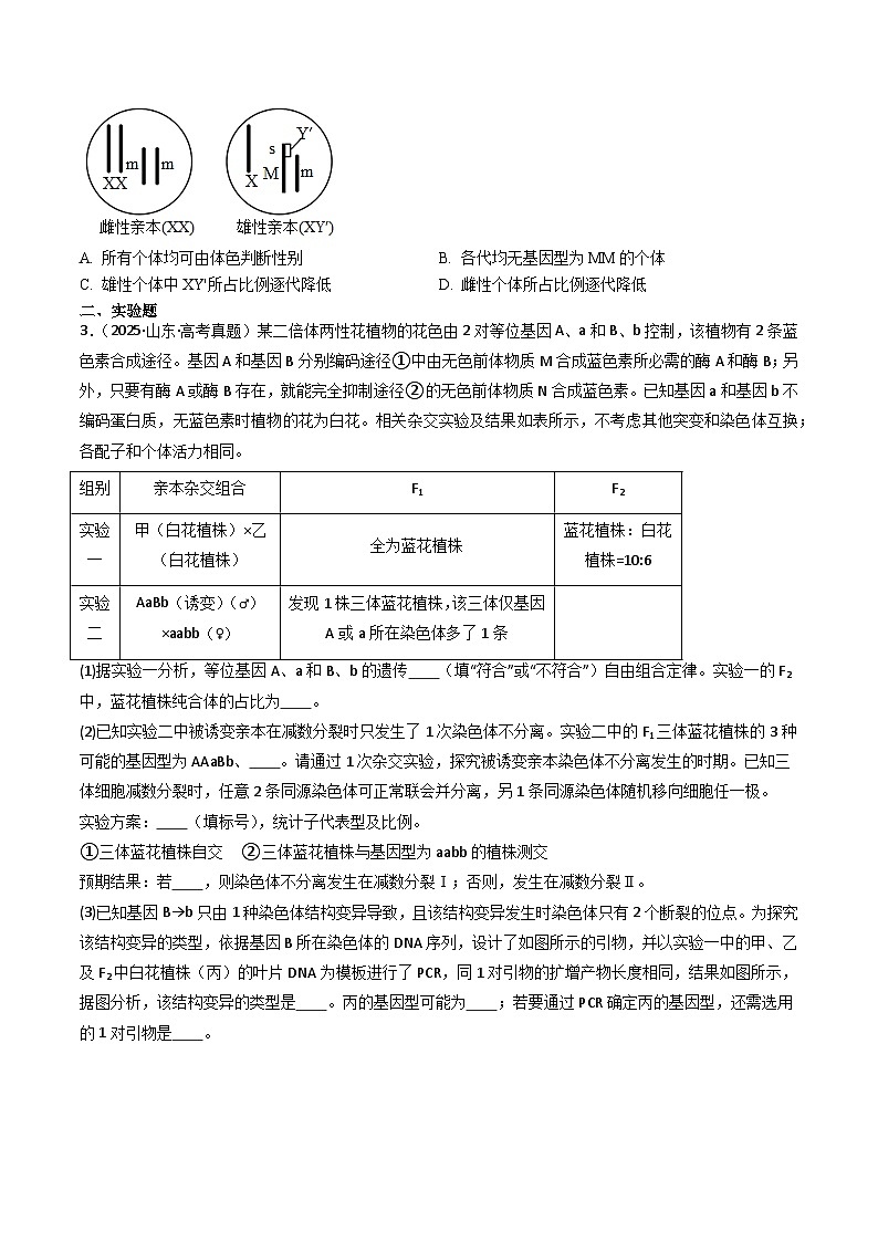备战2026年高考近五年(2021-2025)高考生物真题分类汇编(山东专用)专题08变异、育种与进化(原卷版+解析版)第2页