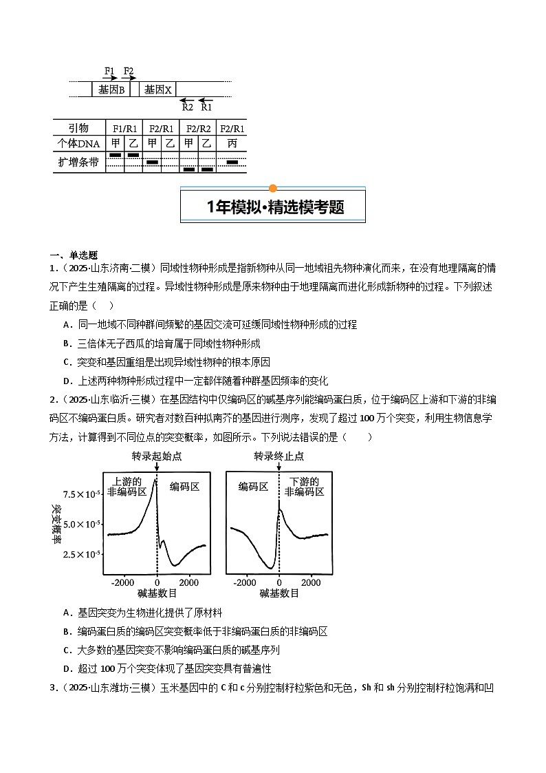 备战2026年高考近五年(2021-2025)高考生物真题分类汇编(山东专用)专题08变异、育种与进化(原卷版+解析版)第3页