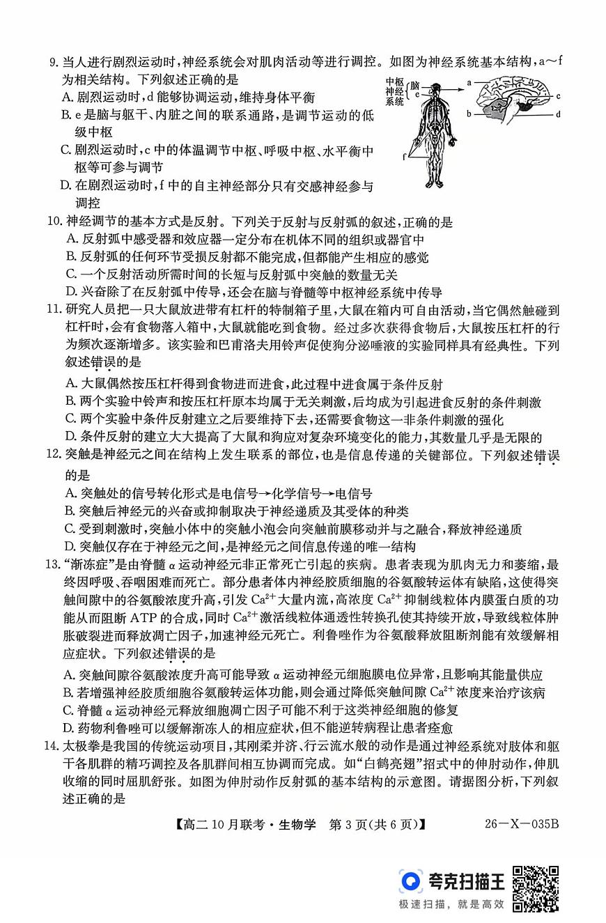 安徽省县中联盟2025-2026学年高二上学期10月联考生物试题第2页