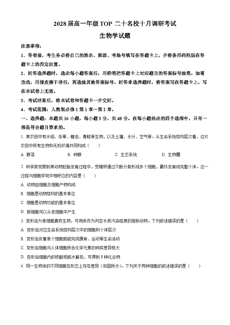 精品解析：河南省TOP二十校205—2026学年高一上学期10月联考生物试题（原卷版）第1页