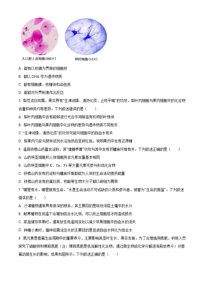精品解析：河南省TOP二十校205—2026学年高一上学期10月联考生物试题（原卷版）第2页