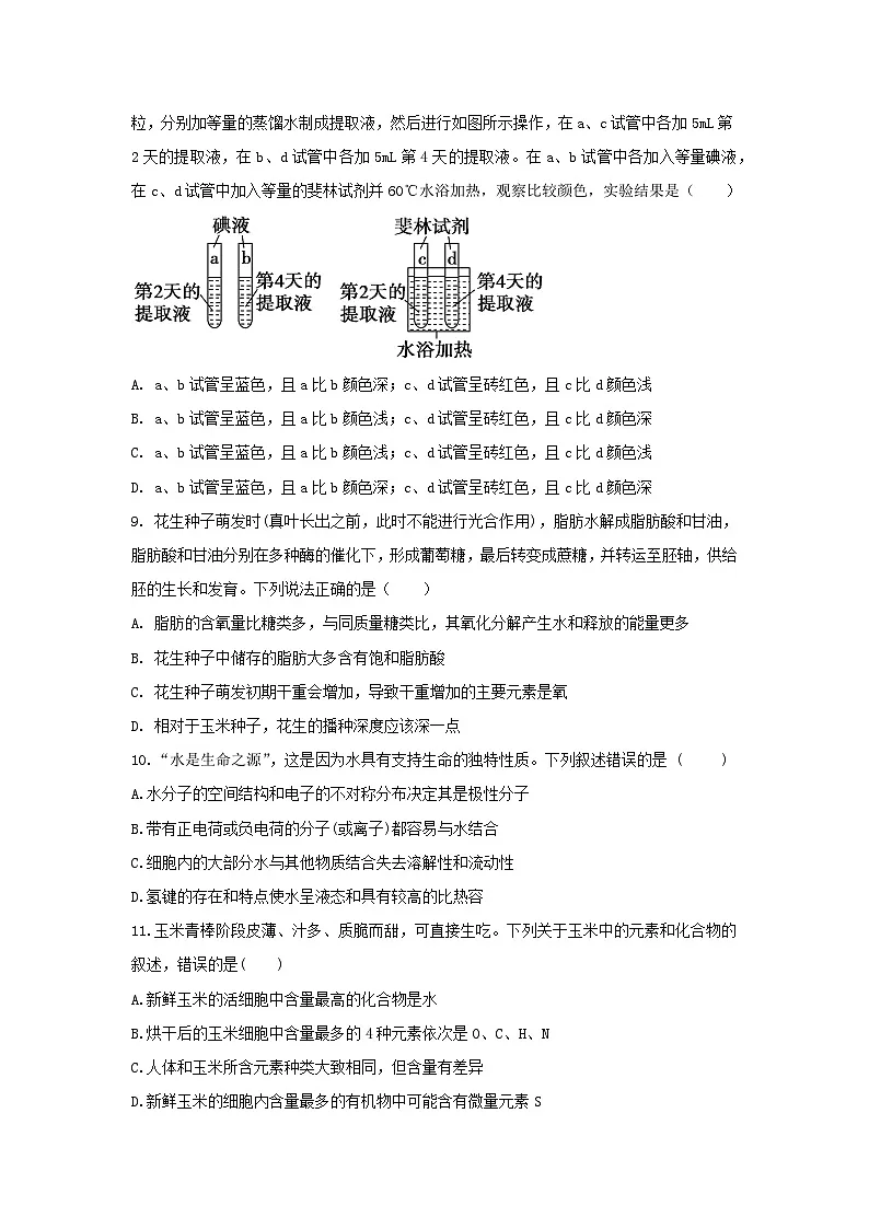 济宁市实验中学2025级高一上学期10月10月月考生物试题第3页
