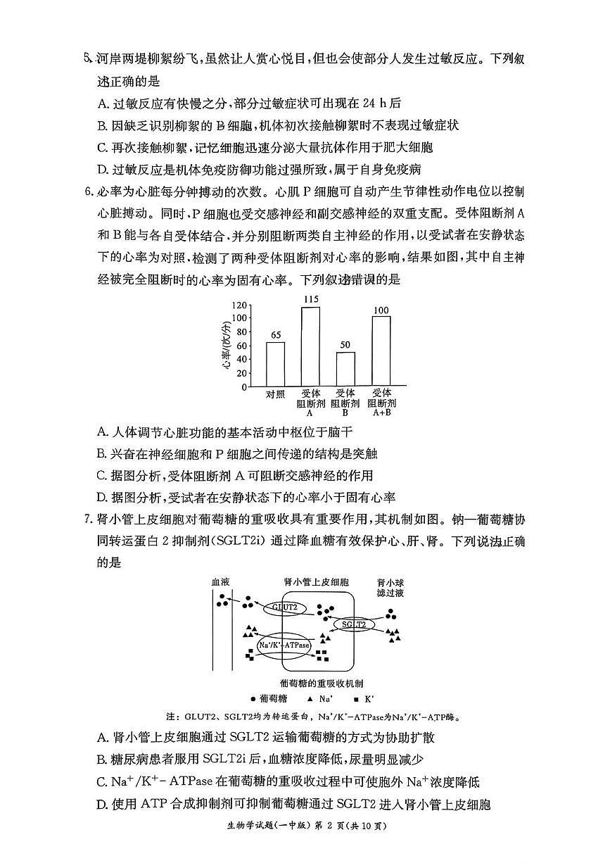 湖南省长沙市第一中学2025-2026学年高二上学期10月月考生物试题 扫描版含解析含答案解析第2页