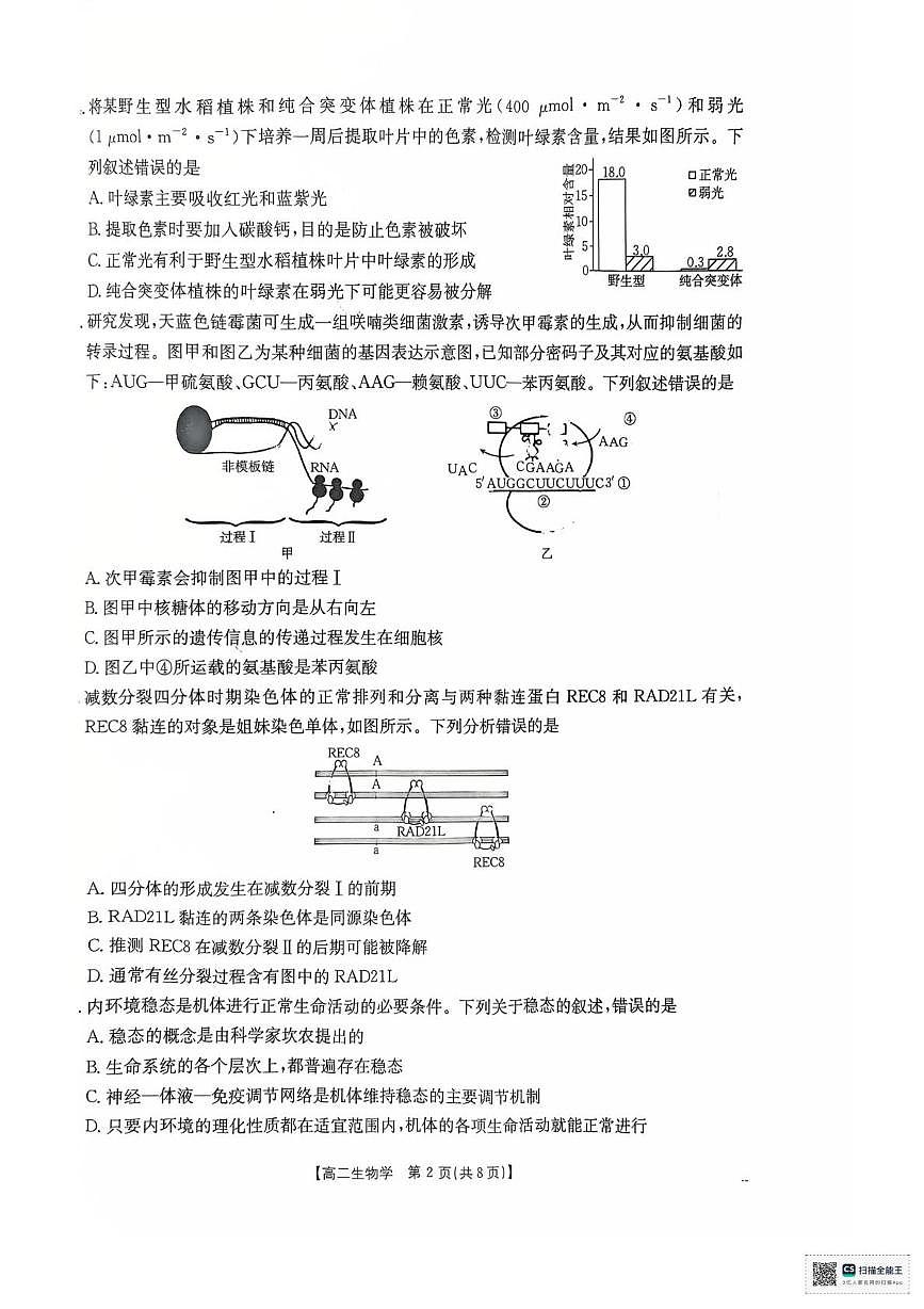 湖南省多校联考2025—2026学年高二上学期10月月考生物试卷及答案 高二生物学试卷第2页