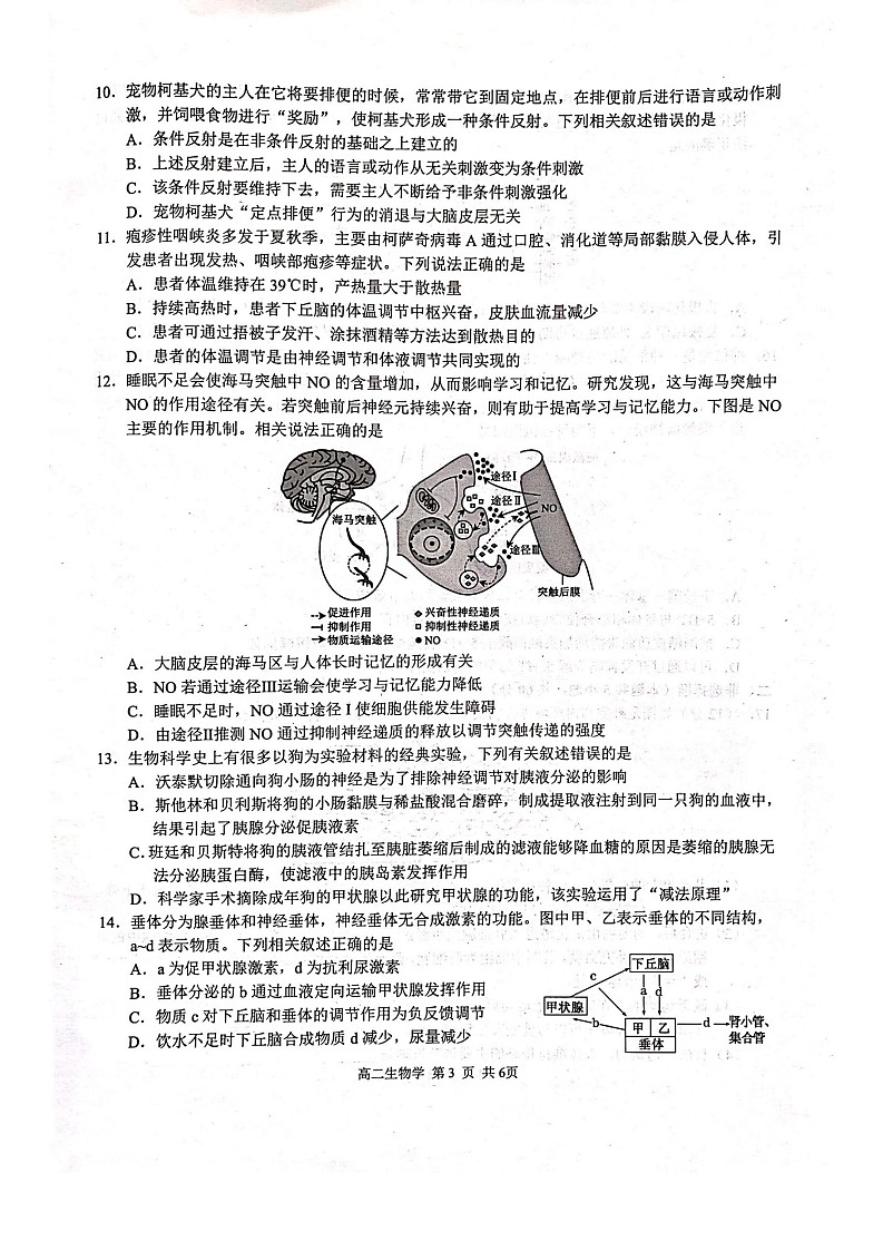 广西壮族自治区河池市十校联考2025-2026学年高二上学期10月月考生物试卷第3页