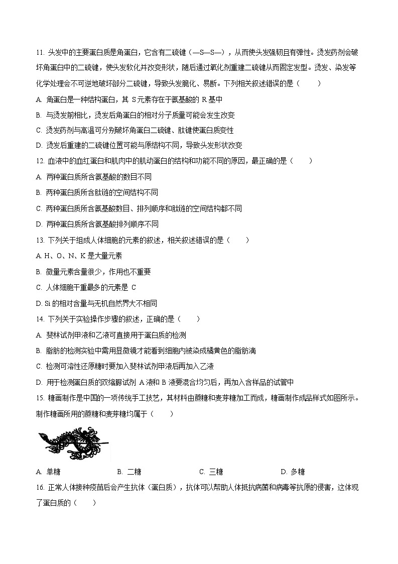 湖南省长沙市明德中学2025-2026学年高一上学期10月月考生物试卷第3页