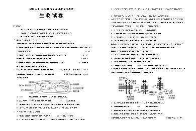 宁夏回族自治区银川一中2025-2026学年高三上学期10月月考生物试卷第1页