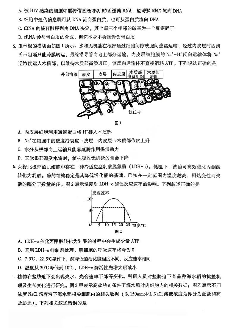 重庆巴蜀中学2026届高三上学期高考适应10月考试生物试卷第2页