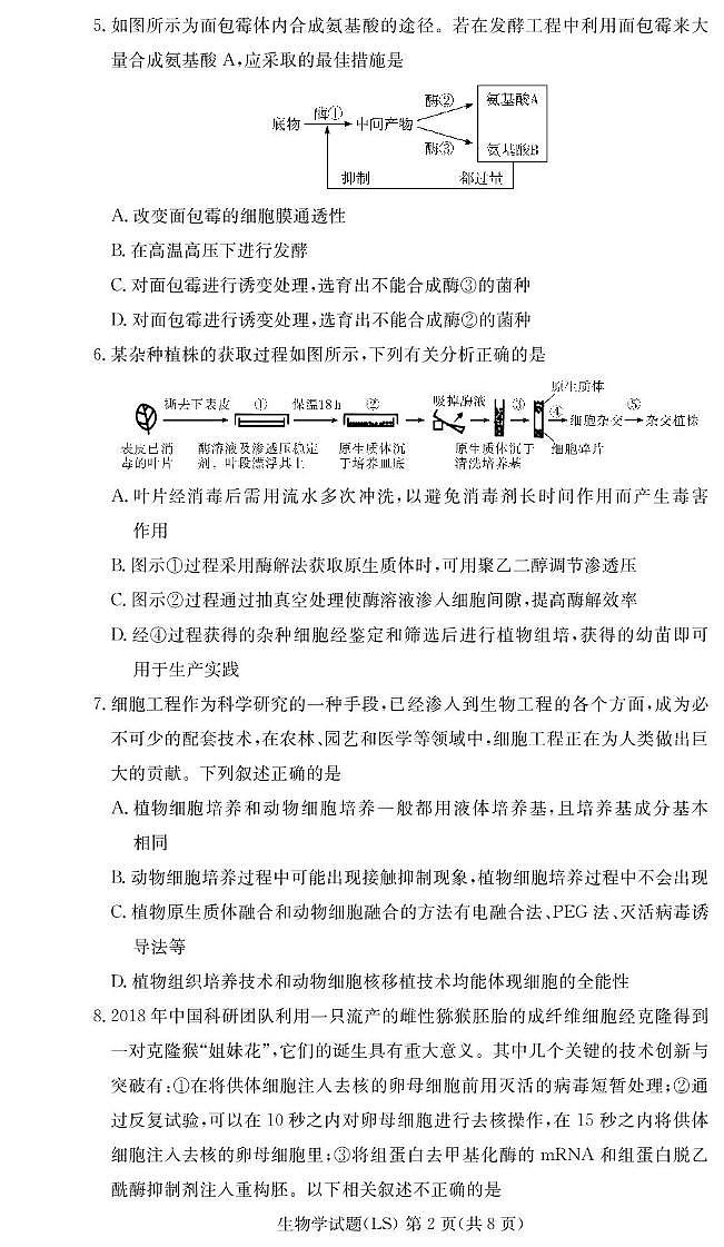 湖南省长沙市麓山国际实验学校2024-2025学年高二下学期第一次学情检测生物试卷+答案第2页