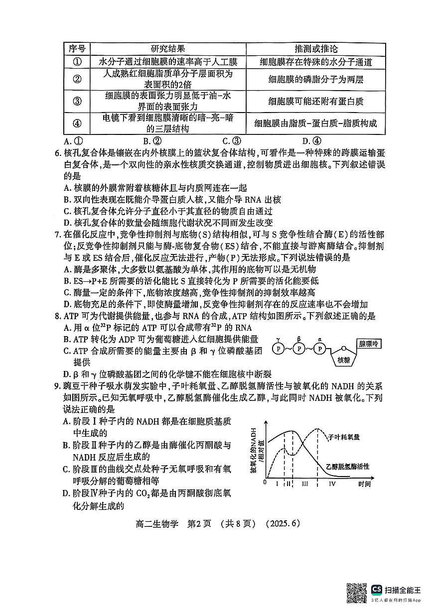 河南洛阳市2024-2025学年6月高二质量检测生物试卷+答案第2页