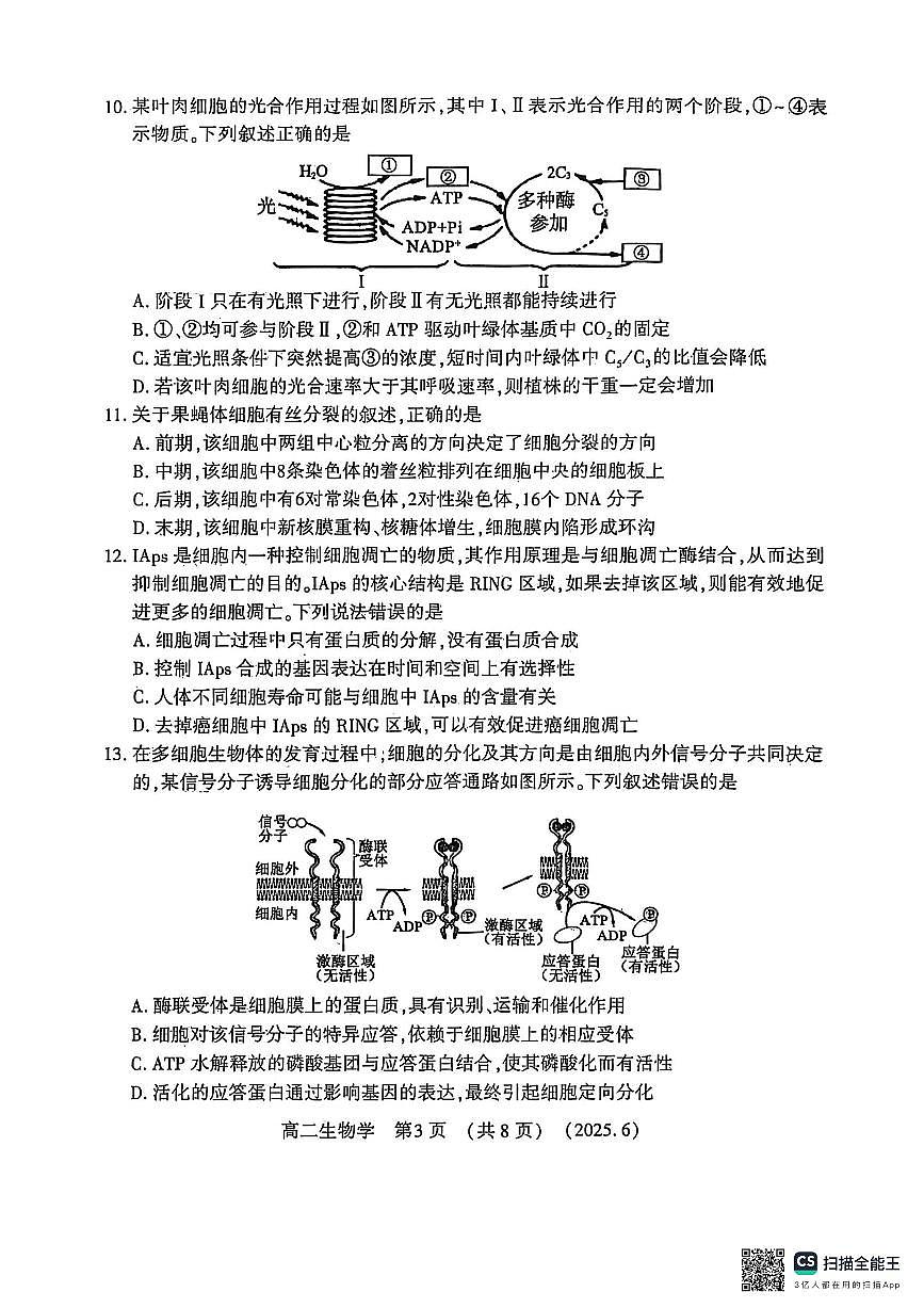 河南洛阳市2024-2025学年6月高二质量检测生物试卷+答案第3页