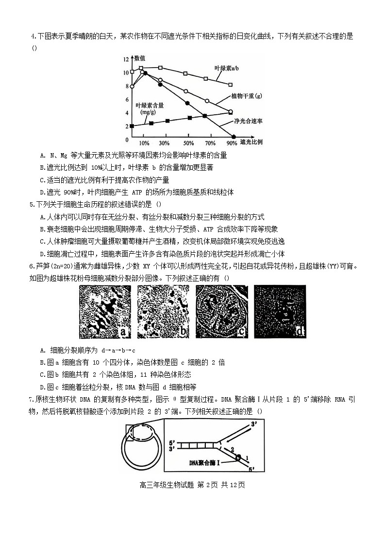 江苏省盐城市七校联盟2026届高三上学期第二次学情检测试题 生物 含答案第2页