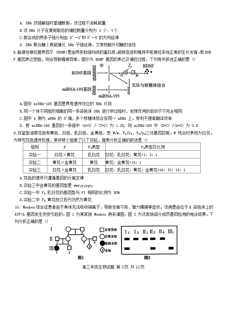 江苏省盐城市七校联盟2026届高三上学期第二次学情检测试题 生物 含答案第3页