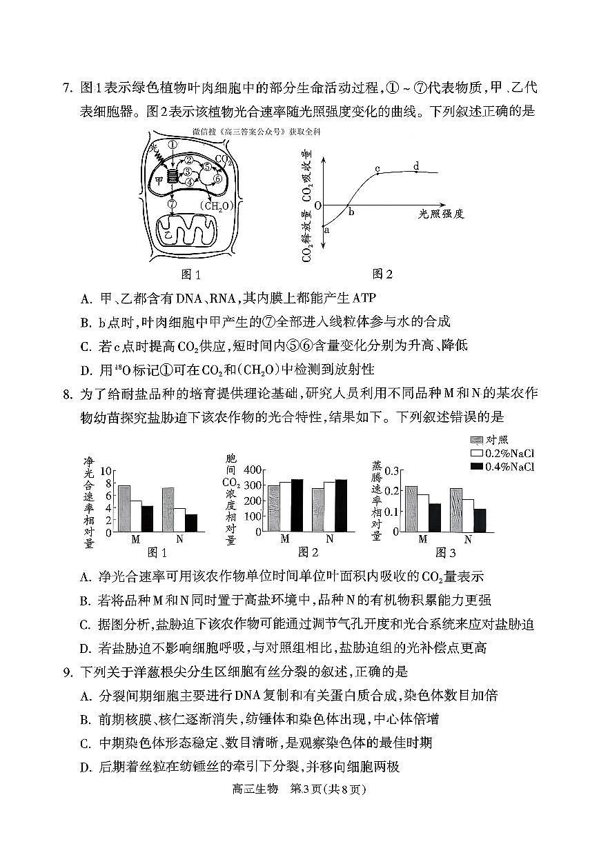 生物第3页