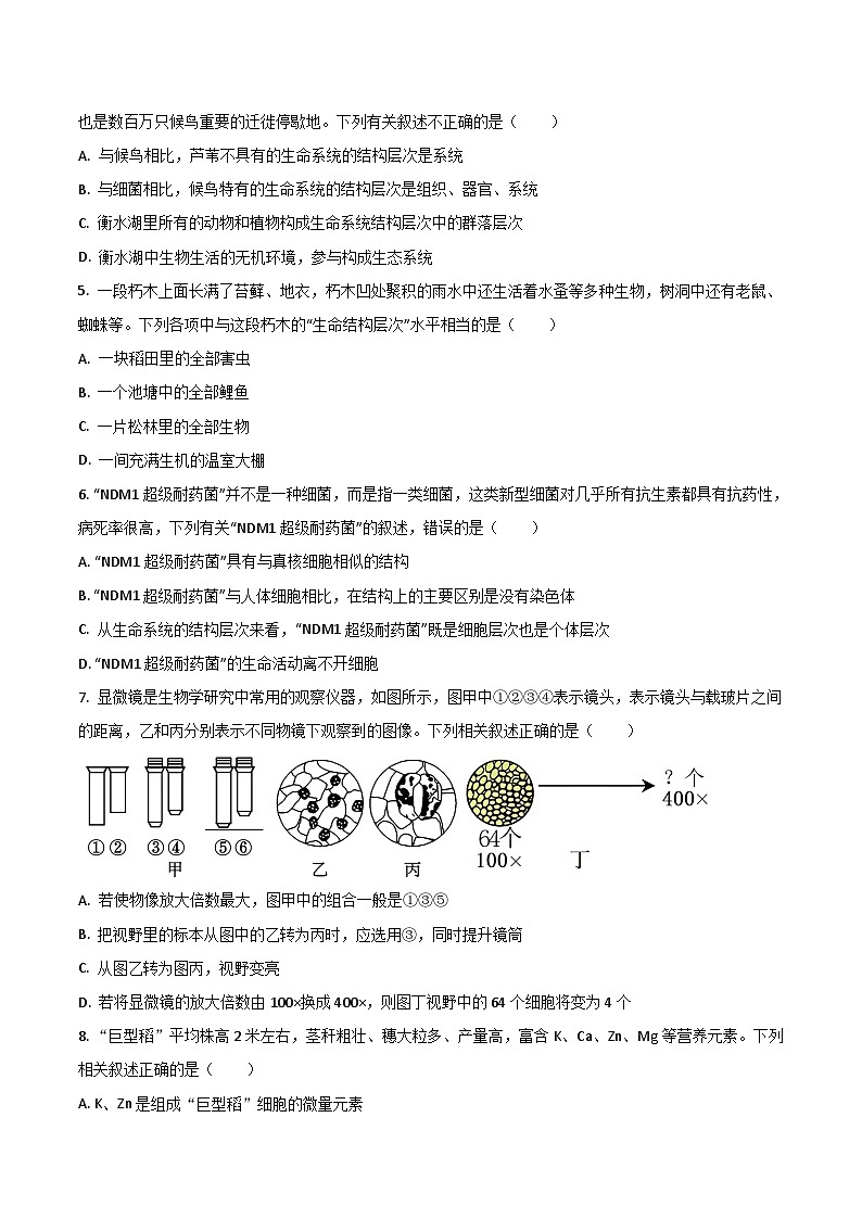 广东省八校联盟2025-2026学年高一上学期教学质量检测（一）生物试卷（Word版附答案）第2页