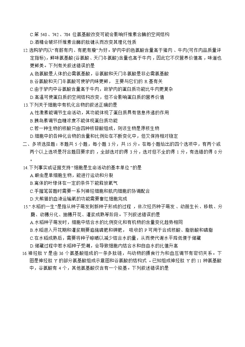 河北省2025-2026学年高一上学期大数据应用调研阶段性联合测评Ⅱ（10月）生物试卷（Word版附答案）第3页