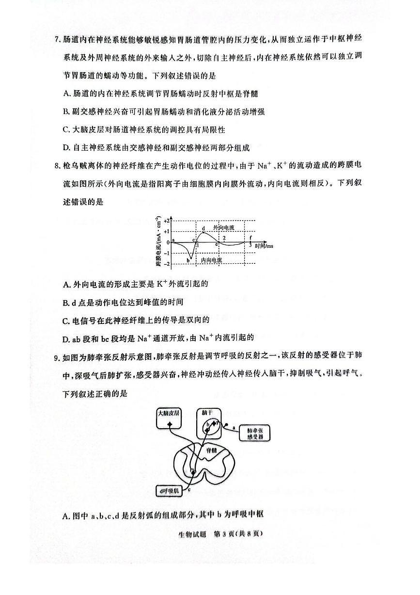 河南省青桐鸣大联考2025-2026学年高二上学期10月联考生物试卷（PDF版附解析）第3页