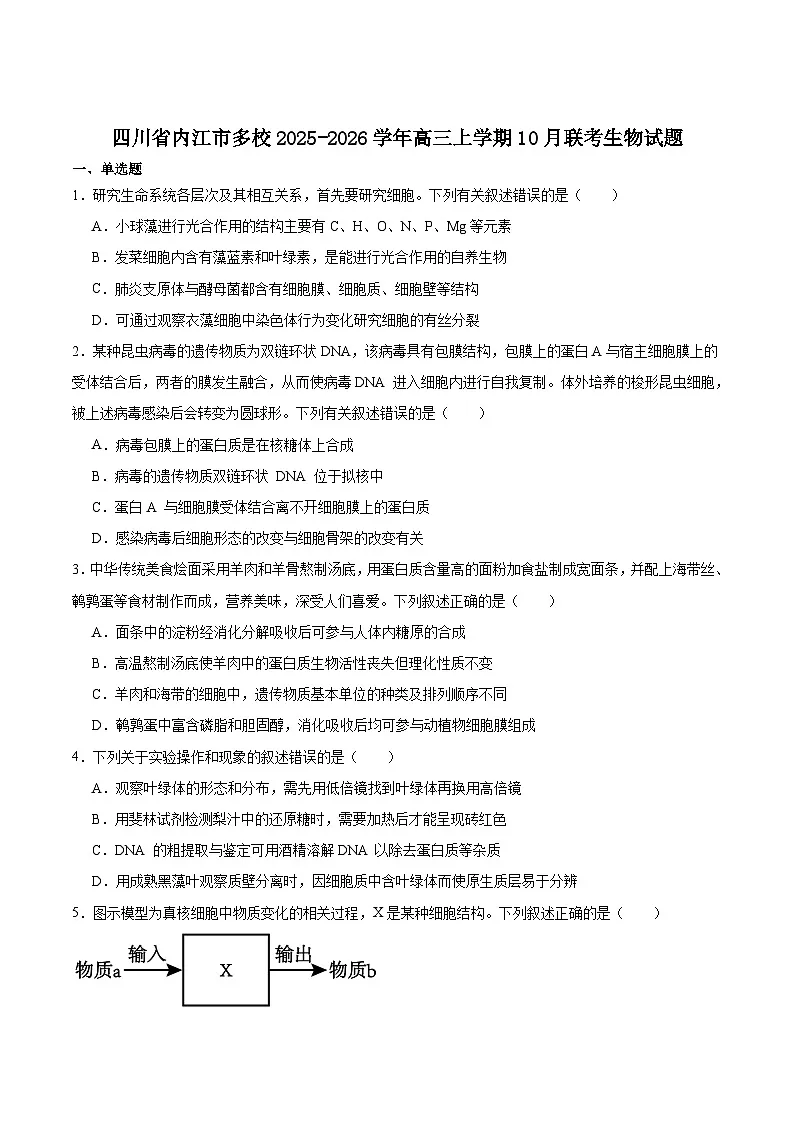 四川省内江市多校2026届高三上学期10月联考生物试卷（Word版附答案）第1页