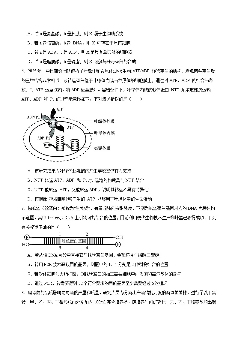 四川省内江市多校2026届高三上学期10月联考生物试卷（Word版附答案）第2页