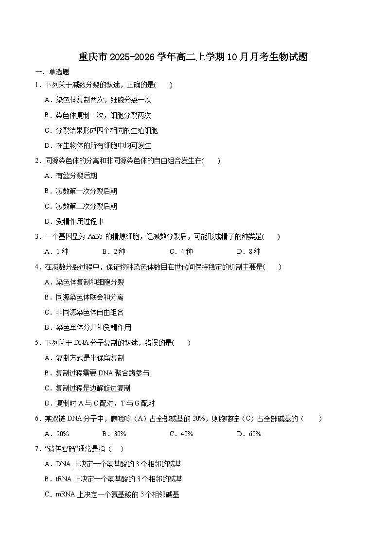 重庆市2025-2026学年高二上学期10月月考生物试卷（Word版附答案）第1页