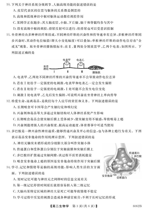 甘肃省多校2025-2026学年高二上学期10月月考试题 生物试卷第3页