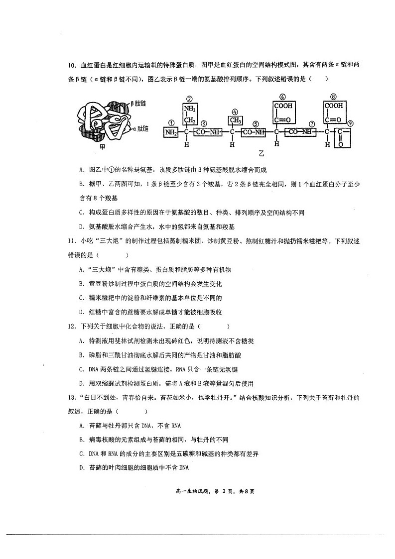 江苏省泰州中学2025-2026学年高一上学期10月考试生物试卷第3页