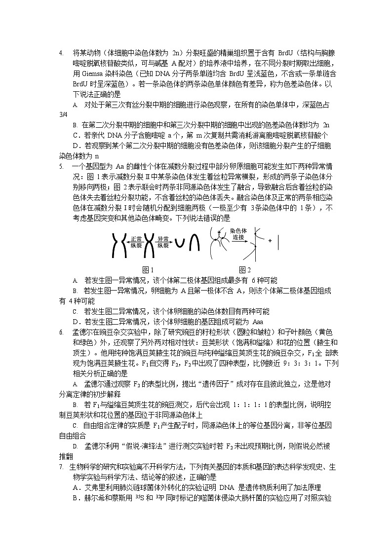 云南玉溪一中2025—2026学年上学期高三上学期10月高考适应性考试生物试卷第2页