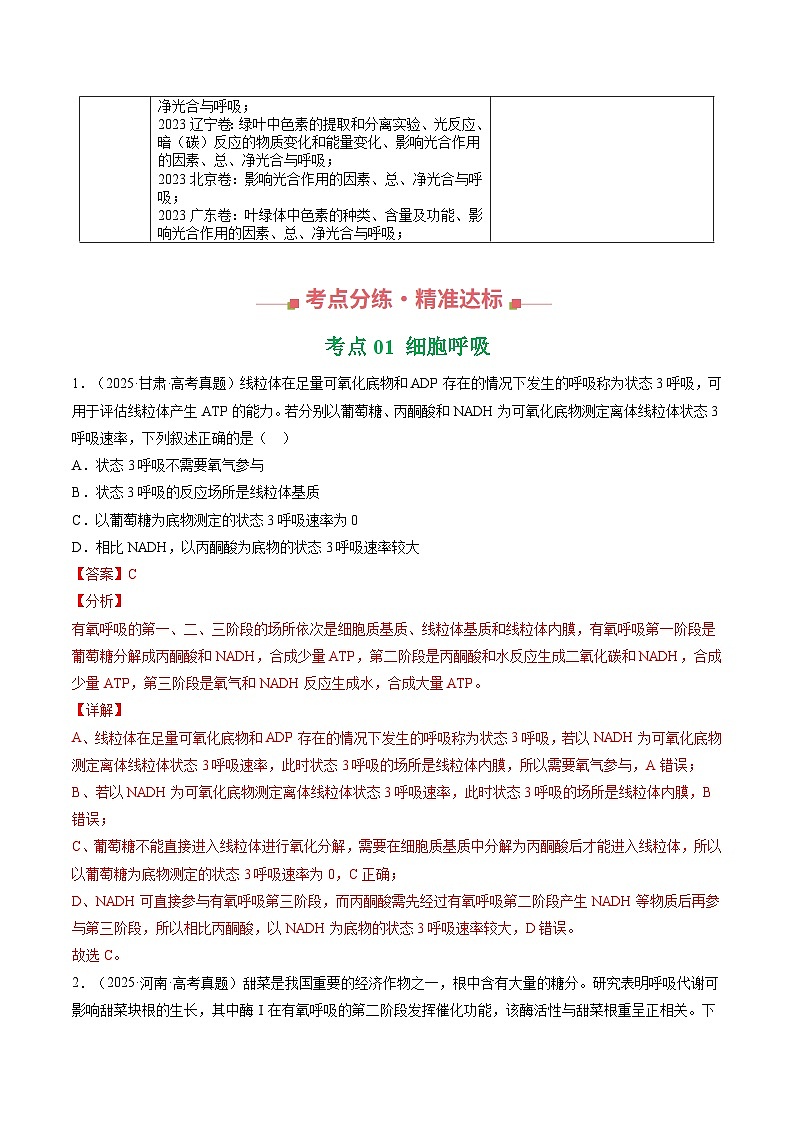 专题03 细胞呼吸与光合作用 Word版含解析第3页