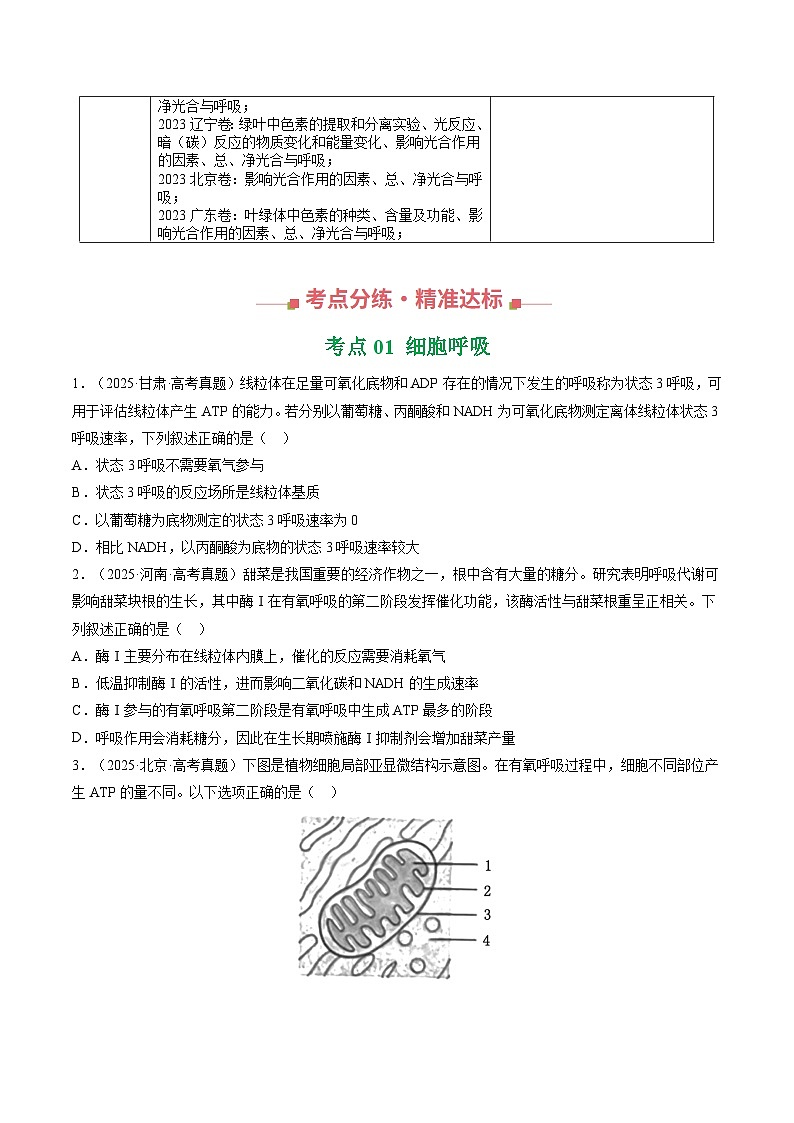 专题03 细胞呼吸与光合作用（全国通用）（原卷版）第3页