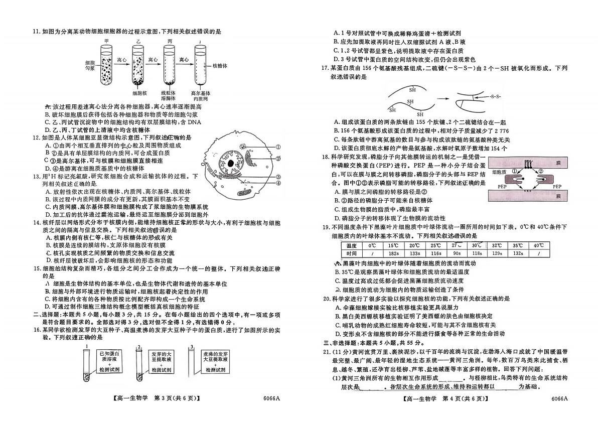 吉林省吉林市吉化第一高级中学2025_2026学年高一上学期期中考试生物试题（图片版，含答案）第2页