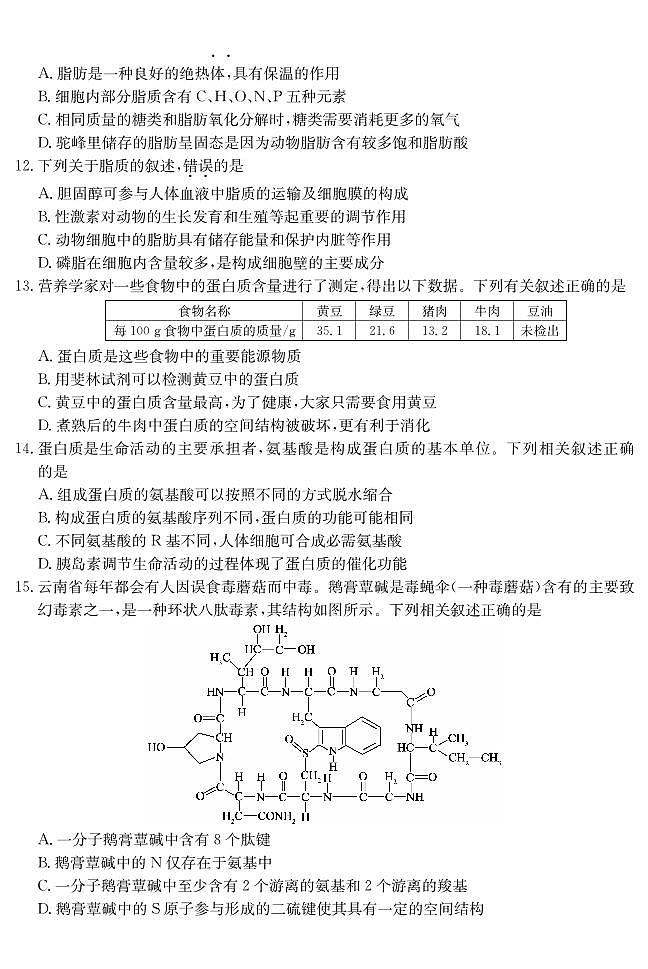 广东省深圳市盟校联盟2024-2025学年高一上学期11月期中考试 生物试卷含解析第3页