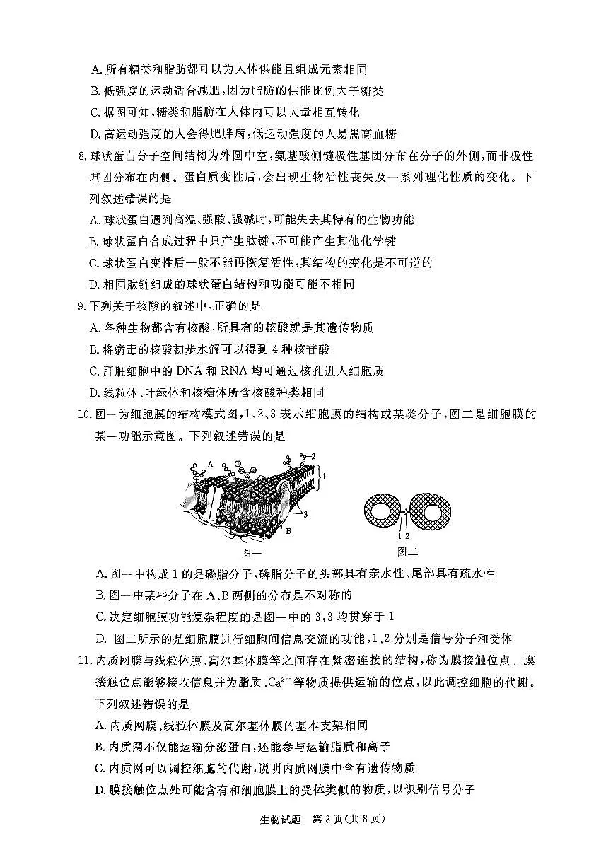 河南驻马店2024-2025学年（上）高一上册期中考试生物试题含答案第3页