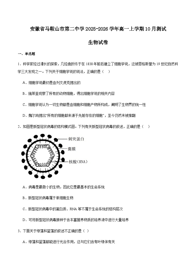 安徽省马鞍山市第二中学2025-2026学年高一上学期10月测试生物试卷 (含解析)第1页