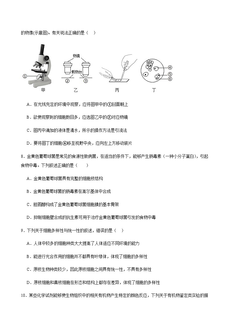 安徽省马鞍山市第二中学2025-2026学年高一上学期10月测试生物试卷 (含解析)第3页