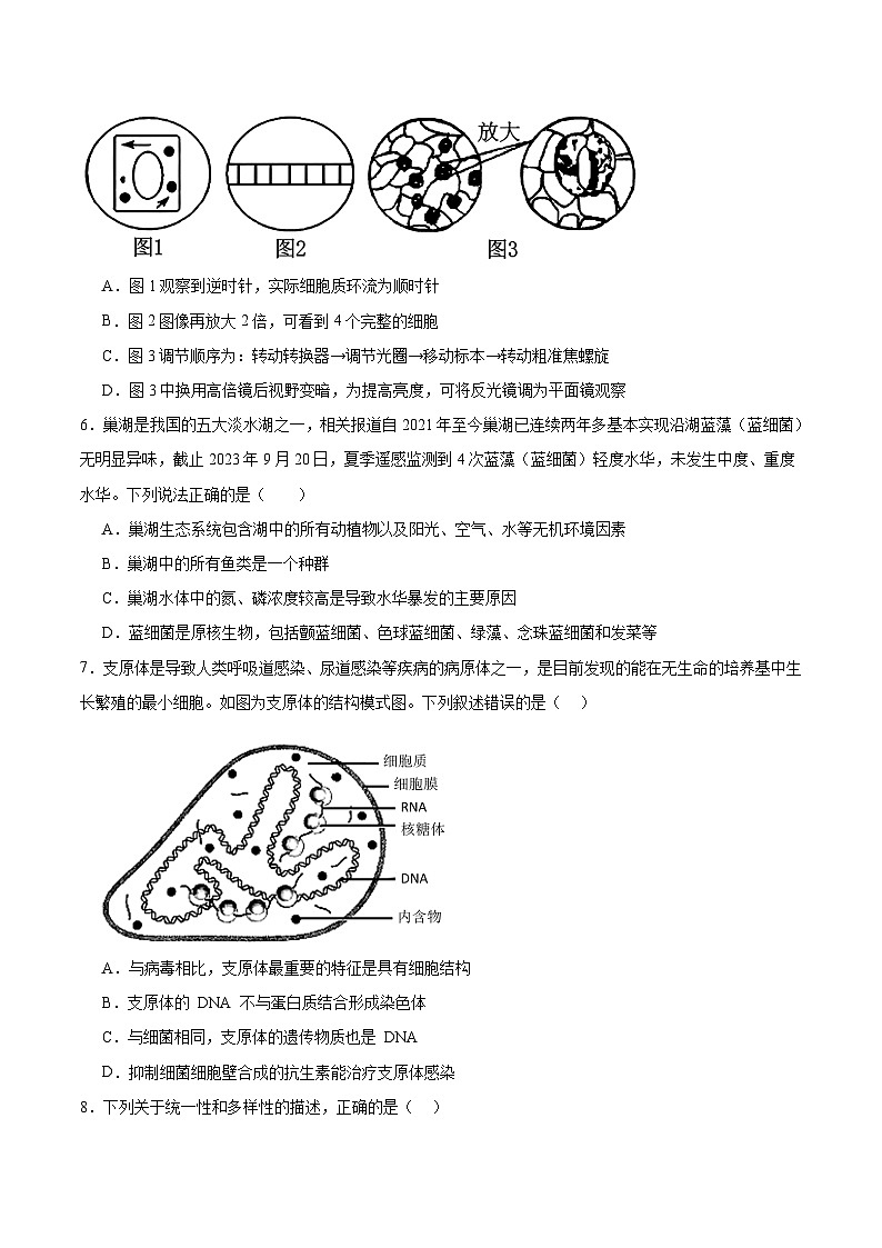 安徽省芜湖市第一中学2025-2026学年高一上学期10月教学质量诊断测试生物试卷（含解析）第2页