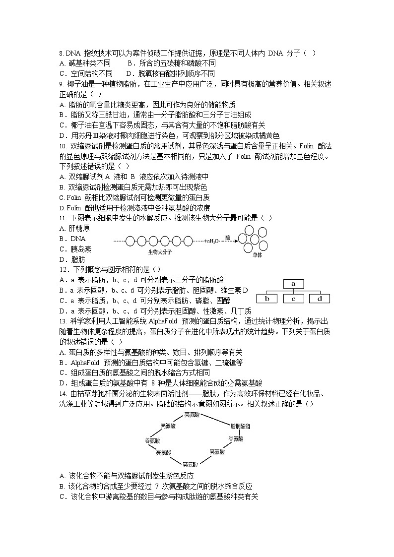 福建省泉州第一中学2025-2026学年高一上学期10月月考生物试题（含答案）第2页