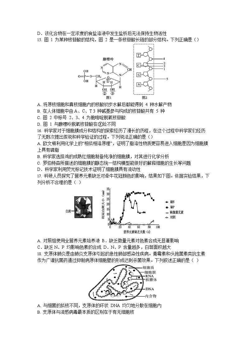 福建省泉州第一中学2025-2026学年高一上学期10月月考生物试题（含答案）第3页