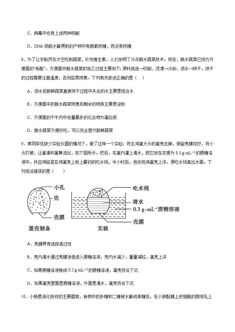 甘肃省兰州第一中学2025-2026学年高一上学期10月月考生物试卷 (含解析)第3页