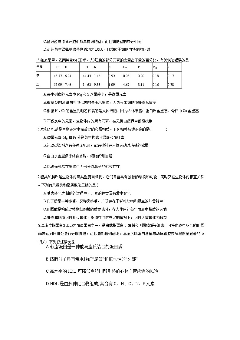 广东省惠州市惠城区惠州市第八中学2025-2026学年高一上学期10月月考生物试题（无答案）第2页