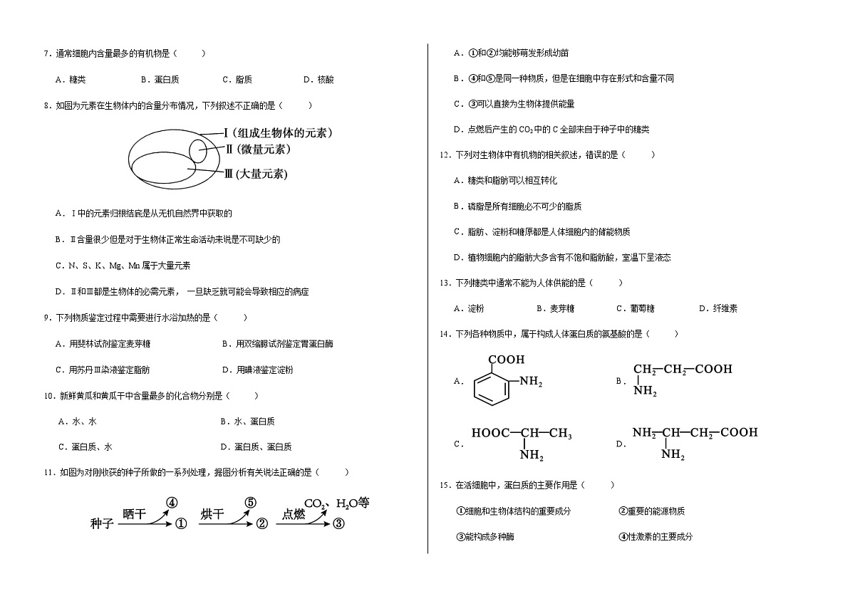 甘肃省武威市凉州区2025-2026学年高一上学期期中质量检测生物试卷（无答案）第2页