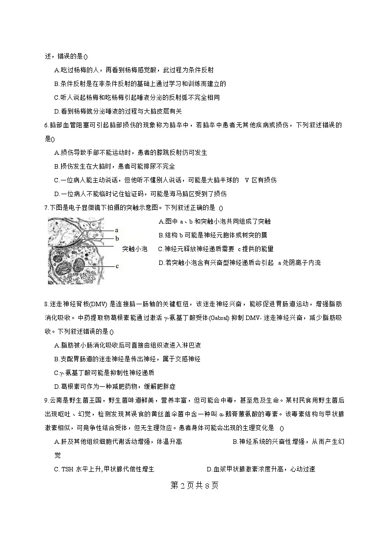 广东省惠州市惠城区惠州中学2025-2026学年高二上学期10月期中生物试题第2页