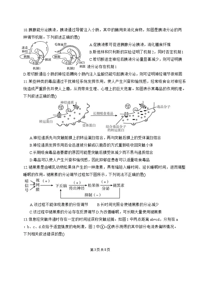广东省惠州市惠城区惠州中学2025-2026学年高二上学期10月期中生物试题第3页