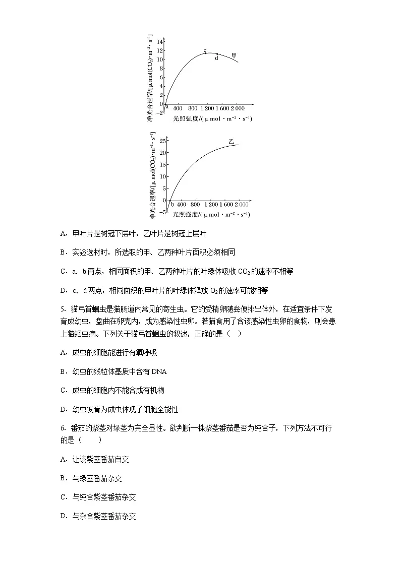 贵州省兴义市第八中学2025-2026学年高三上学期10月月考生物试题（含解析）第2页