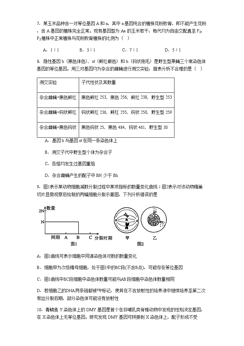 贵州省兴义市第八中学2025-2026学年高三上学期10月月考生物试题（含解析）第3页