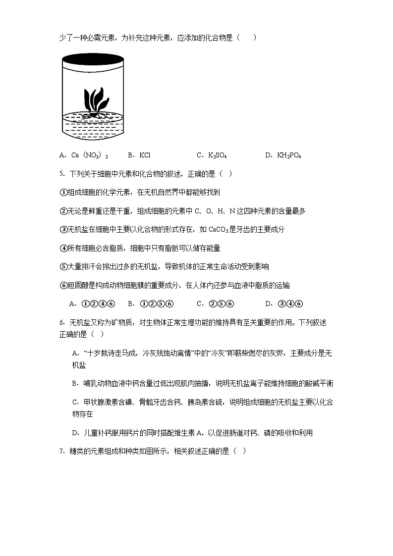 贵州省兴义市第八中学2025-2026学年高一上学期10月月考生物试题（含解析）第2页