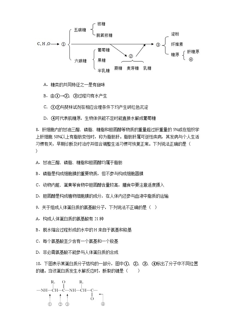 贵州省兴义市第八中学2025-2026学年高一上学期10月月考生物试题（含解析）第3页