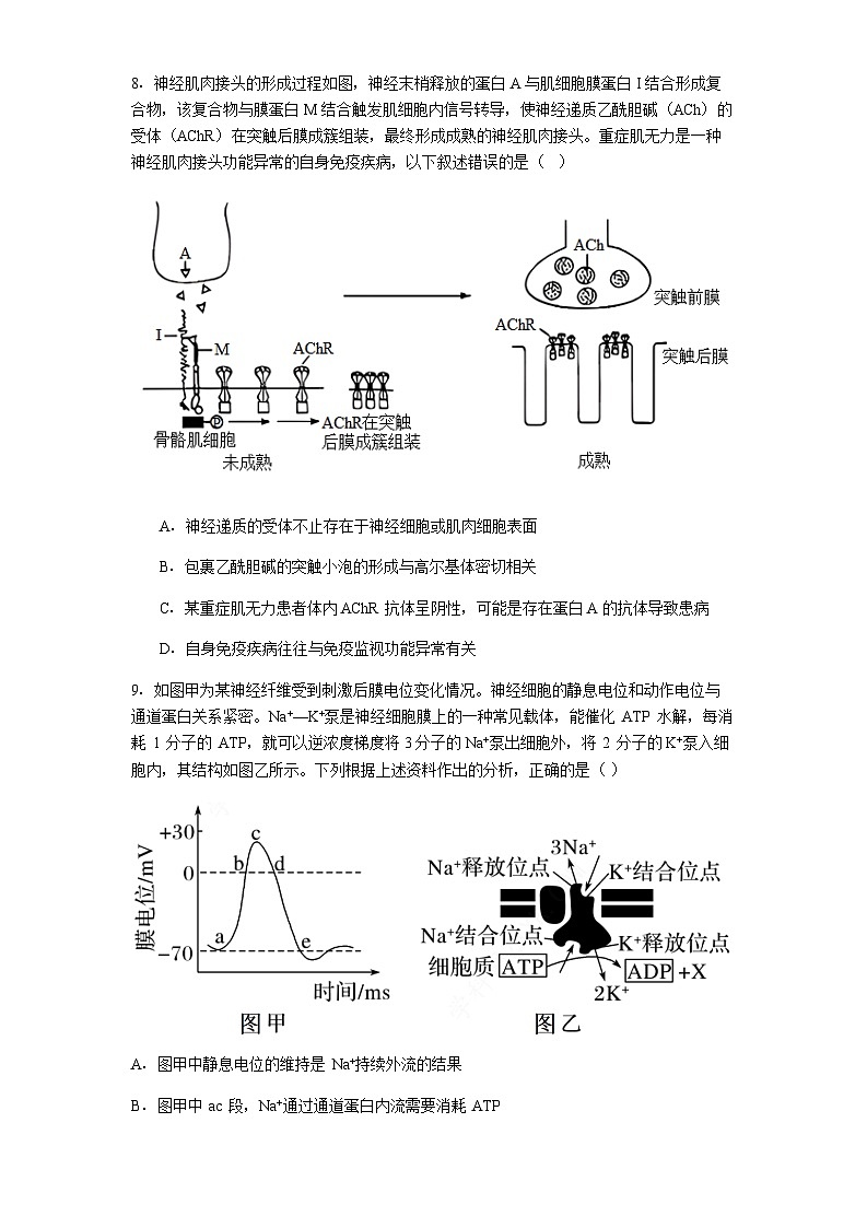 贵州省兴义市第八中学2025-2026学年高二上学期10月月考生物试题（含解析）第3页