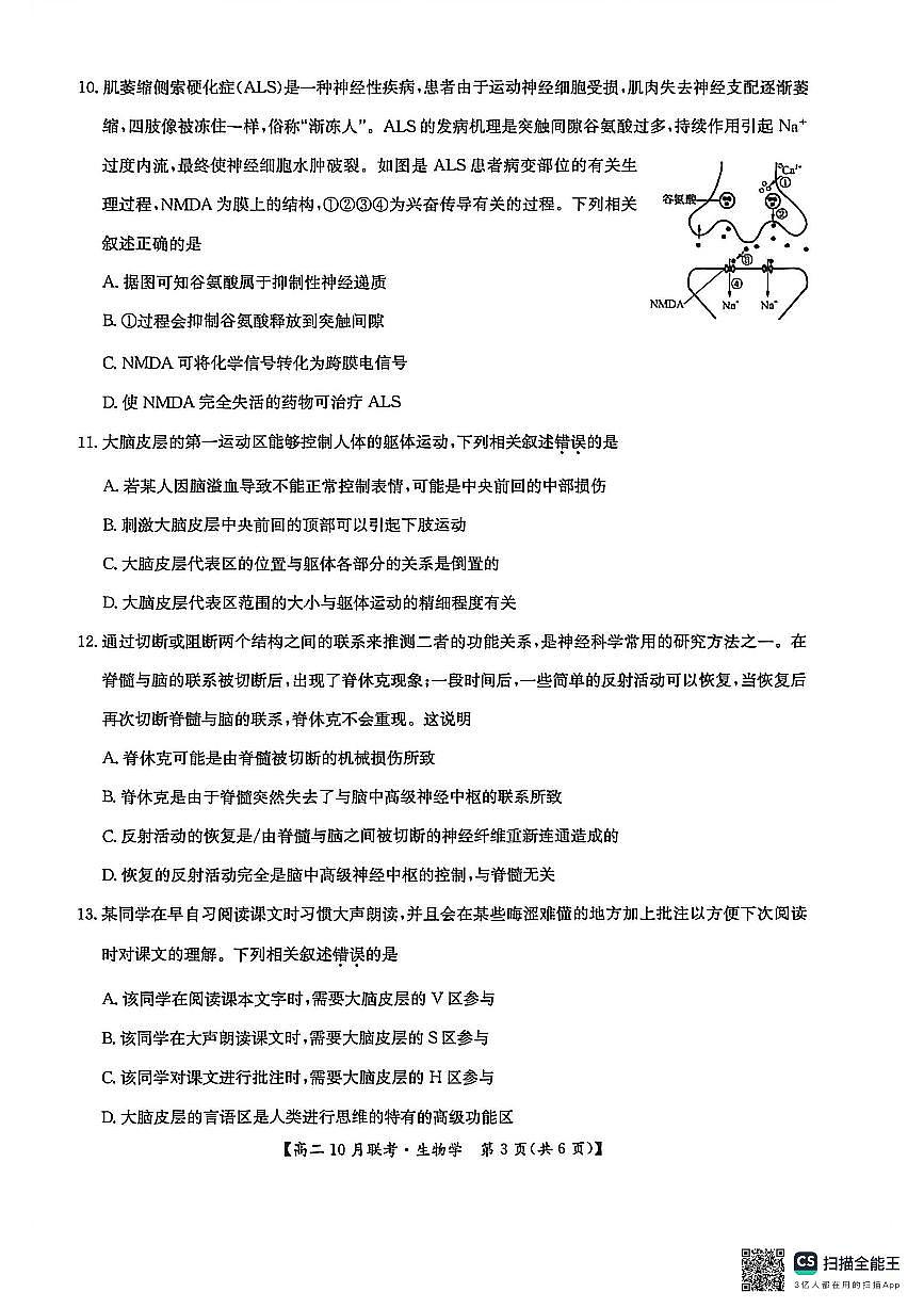 河南洛阳强基联盟2025-2026学年高二上学期10月联考生物试卷第3页