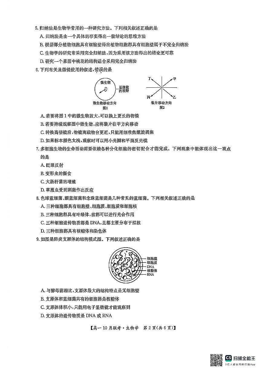河南洛阳强基联盟2025-2026学年高一上学期10月联考生物试卷第2页